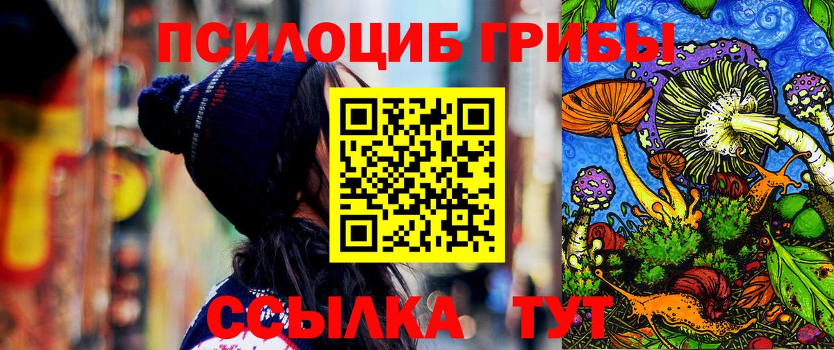 Нефтекумск  Псилоцибиновые грибы GOLDEN TEACHER  Вход с VPN 
