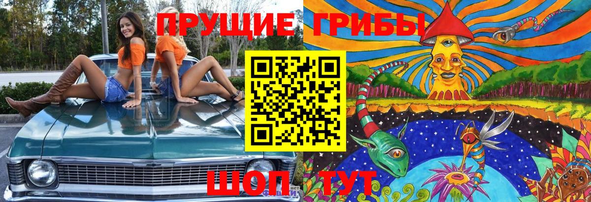 Галлюциногенные грибы Psilocybine cubensis Нефтекумск