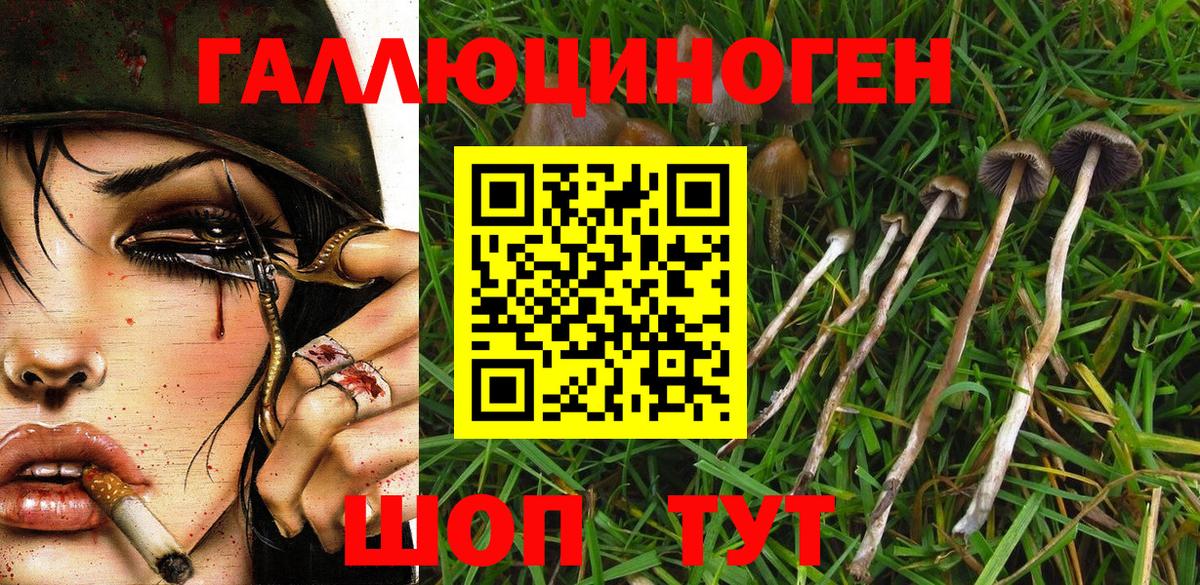 ГАШ Нефтекумск